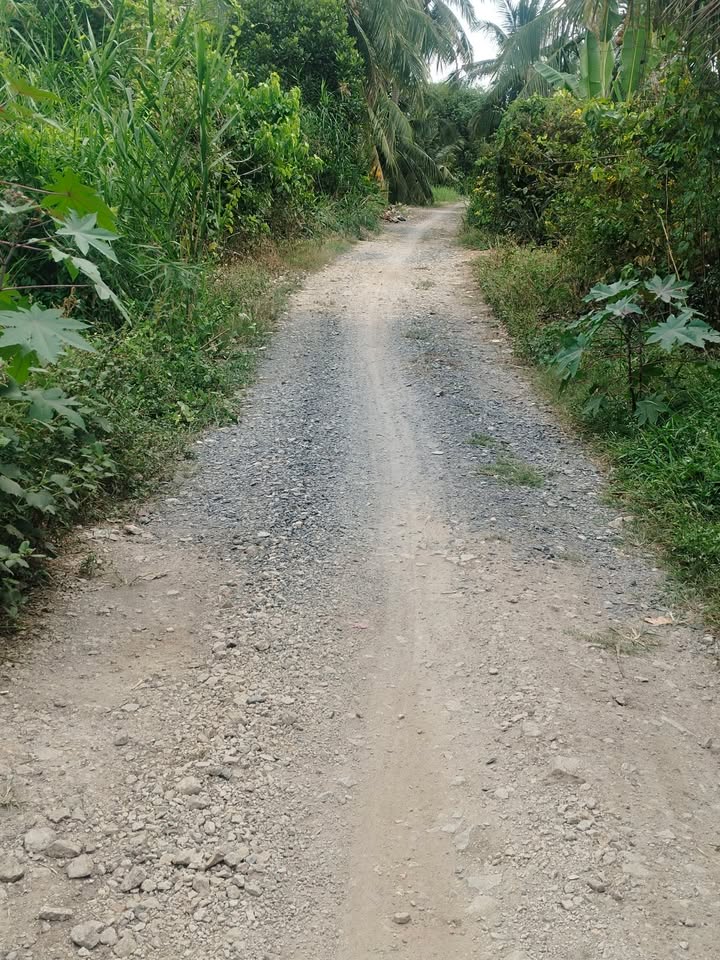 Đất nền Xã Tân Hội Trung 10800m² - Tiềm năng tăng giá vượt trội!