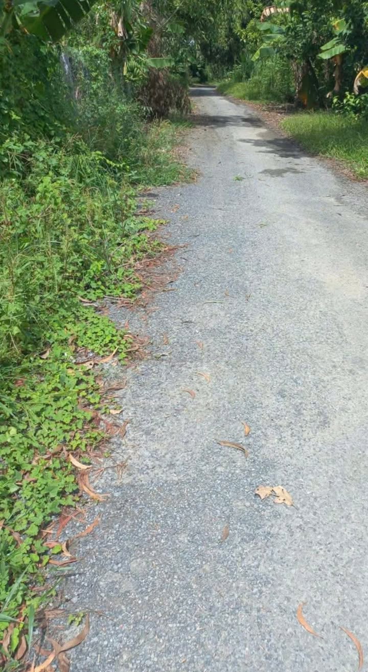 Đất Lúa Đồng Tháp 2197m² - Giá Tốt, Sẵn Sàng Đầu Tư Tại Tân Phú Trung