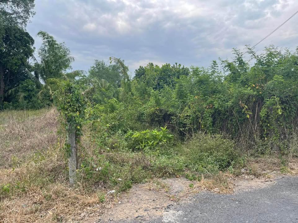 Bán đất thổ 134.6m² Phường 3, Sa Đéc - View Sông, Đường Nhựa 690tr