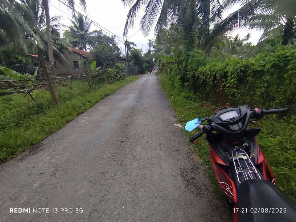 Bán Đất Mặt Tiền Đường Nhựa 500m² Xã Thạnh Ngãi, Bến Tre - Sẵn Sàng Xây Dựng