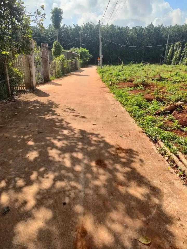 Đất nền Bình Ba, Châu Đức 140m² - Tiềm năng tăng giá!