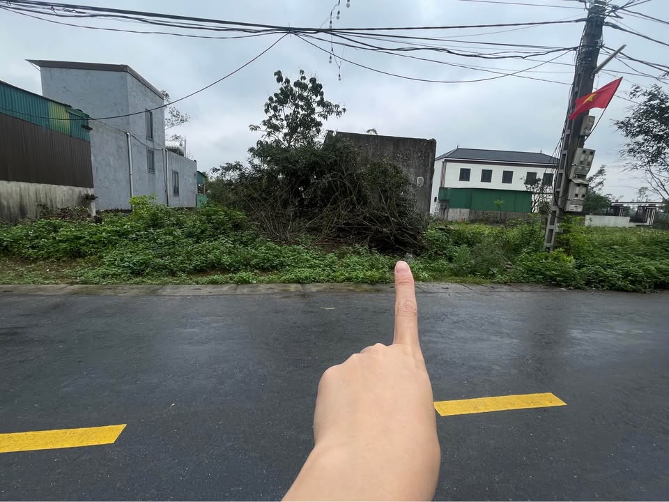 Đất nền Nghi Phong Nghi Lộc 322m² Đường to ô tô