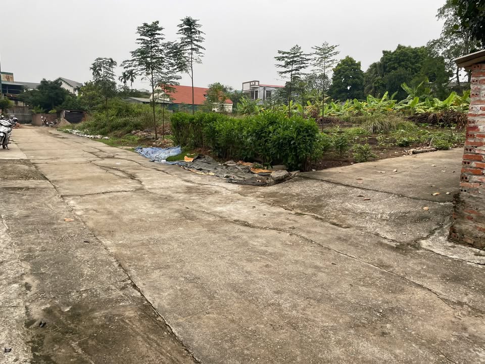 Bán Đất 148.6m² 3 Mặt Tiền TT. Lâm Thao, Phú Thọ - Giá Tốt Đầu Năm