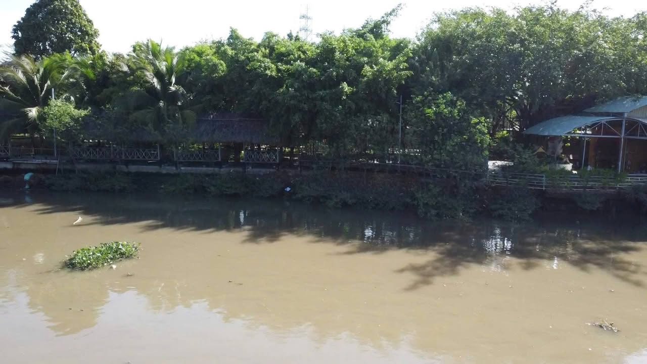 Bán Đất Vườn 5836m² Mặt Sông Phường Phú Hữu, TP. Thủ Đức - 192 Tỷ