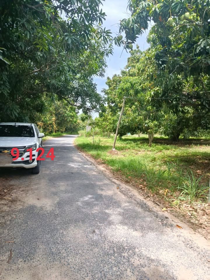 Đất vườn Cam Hiệp Bắc, Cam Lâm 2520m² - Sinh thái xanh, đầu tư dài hạn!