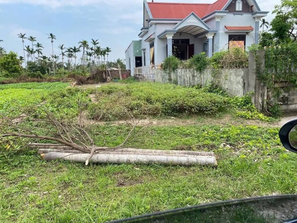 Mặt Tiền Kinh Doanh Đường Hoà Nghĩa, Dương Kinh, Hải Phòng - 112m² Giá Tốt