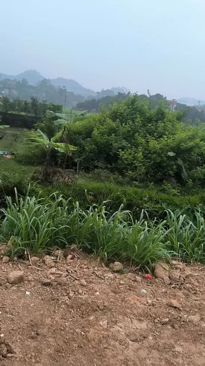 Đất TL316B Thanh Thủy 100m² 1 tỷ - Sổ đỏ chính chủ