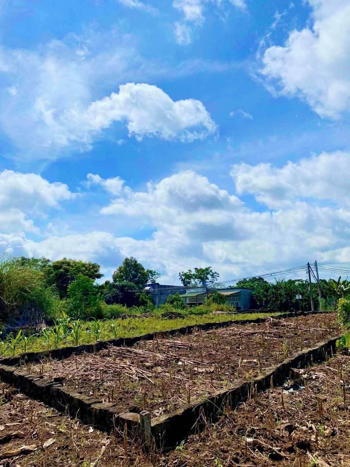 Đất Trà Cổ Tân Phú 150m² giá 310 triệu - Sổ hồng chính chủ, xây dựng tự do!