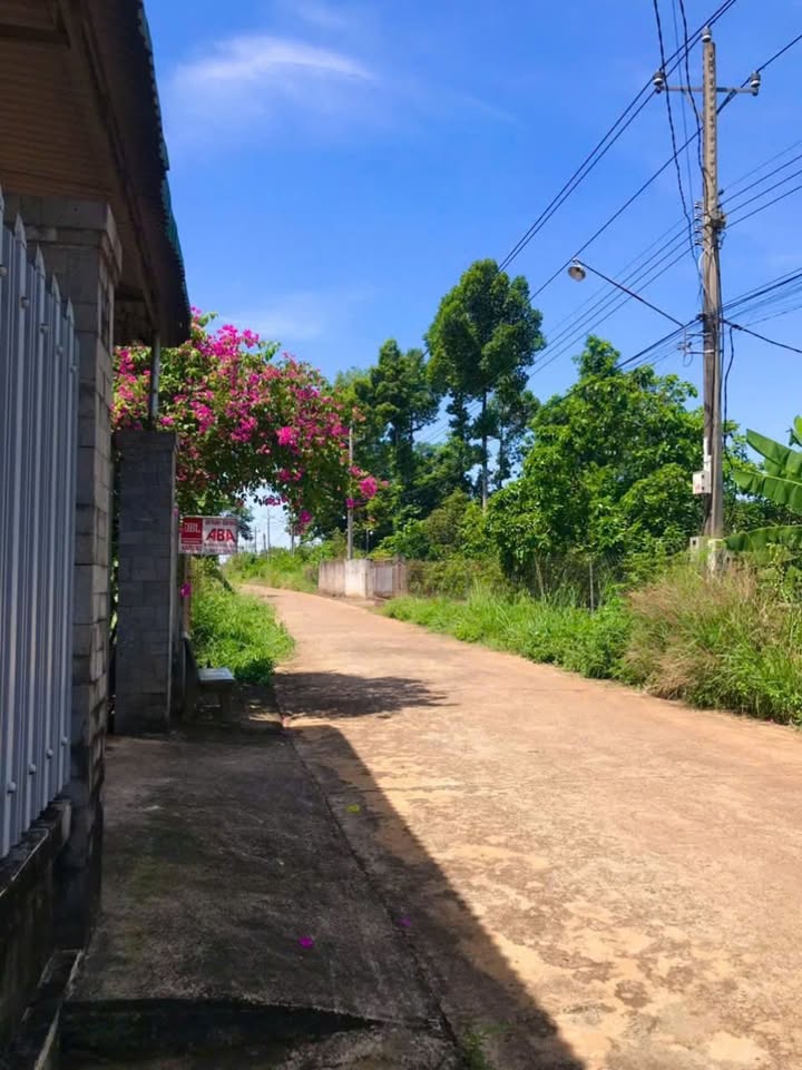 Đất Dầu Giây 100m² Sổ Hồng Full Thổ Cư - Giá Tốt Dưới 1 Tỷ