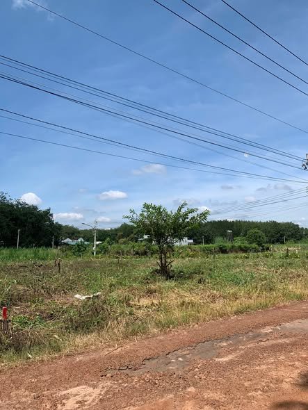 Đất nền Tân Hiệp, Phú Giáo 183m² - Sổ sẵn, giá ngộp 350 triệu