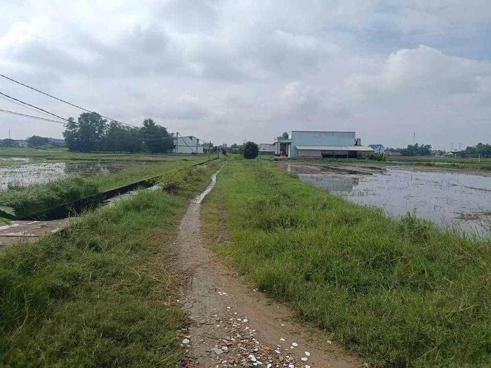 Đất Nền Long An 2516m² - Sổ Hồng Sẵn Sàng - Giá Đầu Tư 2.26 Tỷ