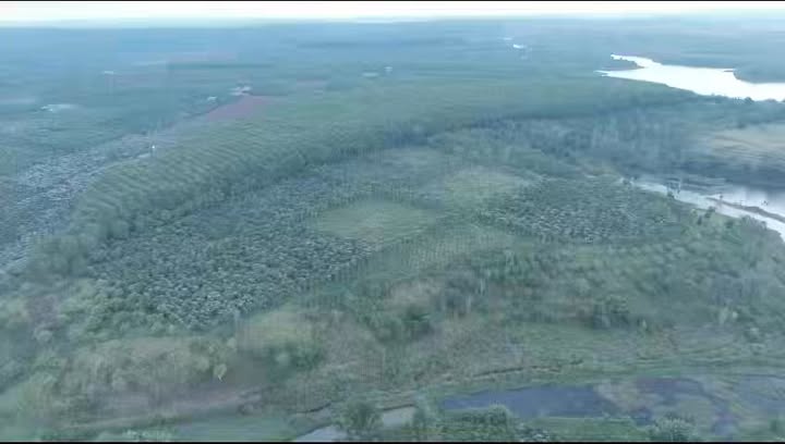 Đất Farm Xã Quảng Sơn, Đăk Glong 25ha - Sổ đỏ sẵn sàng