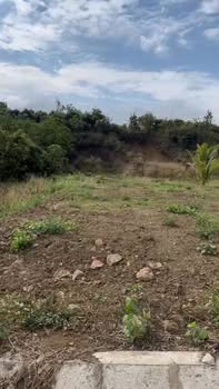 Đất thổ cư 1036m² Đắk Mil - Sẵn Sàng Xây Nhà, Giá 548 Triệu