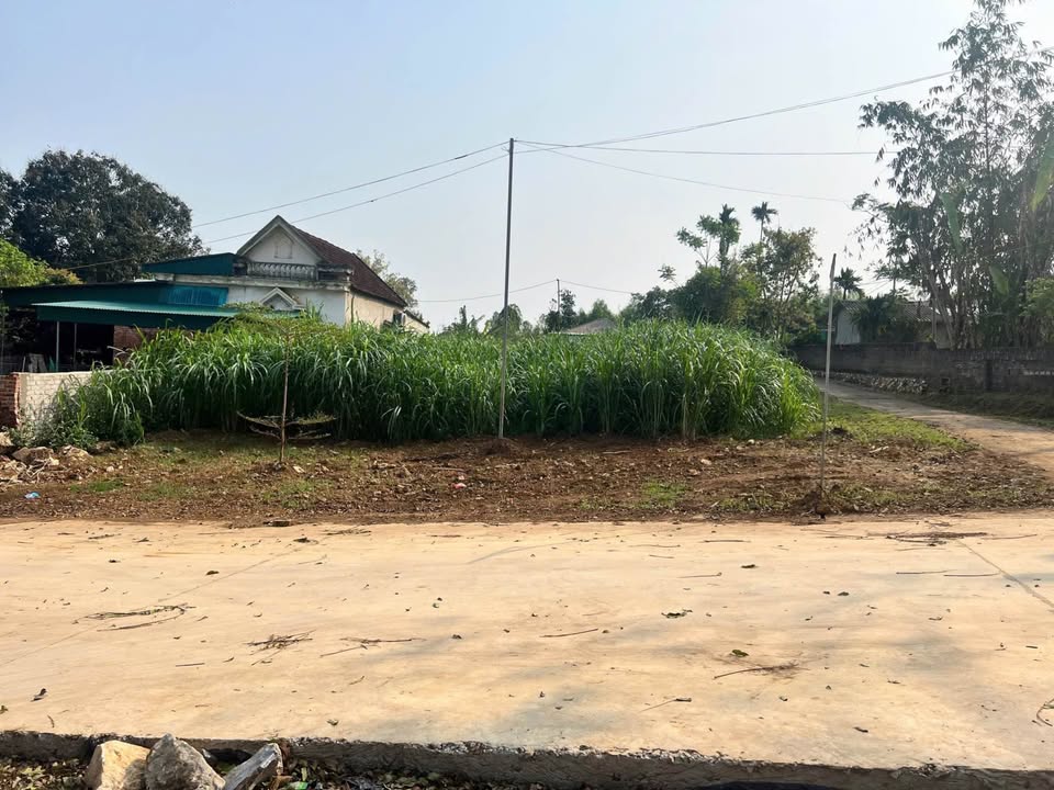 Bán Đất Nền Thái Hòa Nghệ An 175m² - 2 Lô Liền Kề Giá 8xx Triệu