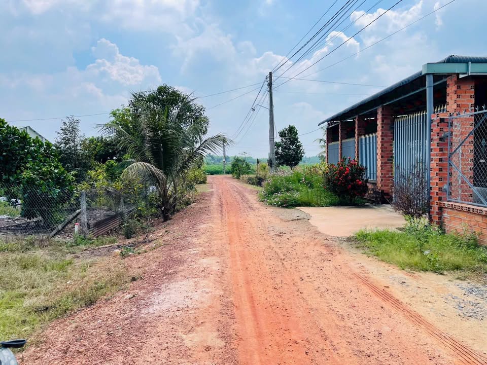 Bán Gấp Đất Ninh Thạnh, Tây Ninh - 279 Triệu/Lô, Sổ Thổ Cư