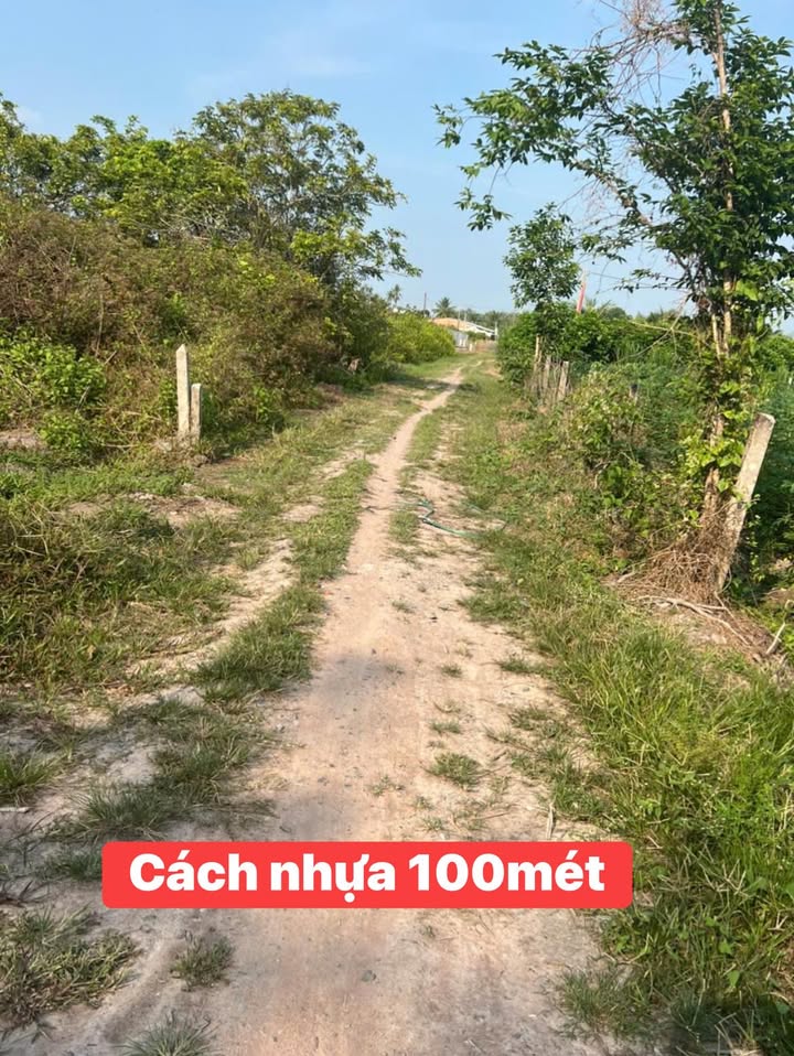Bán Gấp Đất Vàng 1000m² Phường Long Hoa, Tây Ninh - Giá 700 Triệu