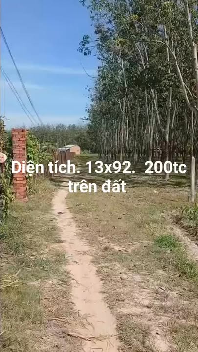 Đất Nền 1196m² Trảng Bàng, Tây Ninh - Giá 1 Tỷ, Đường Ô Tô