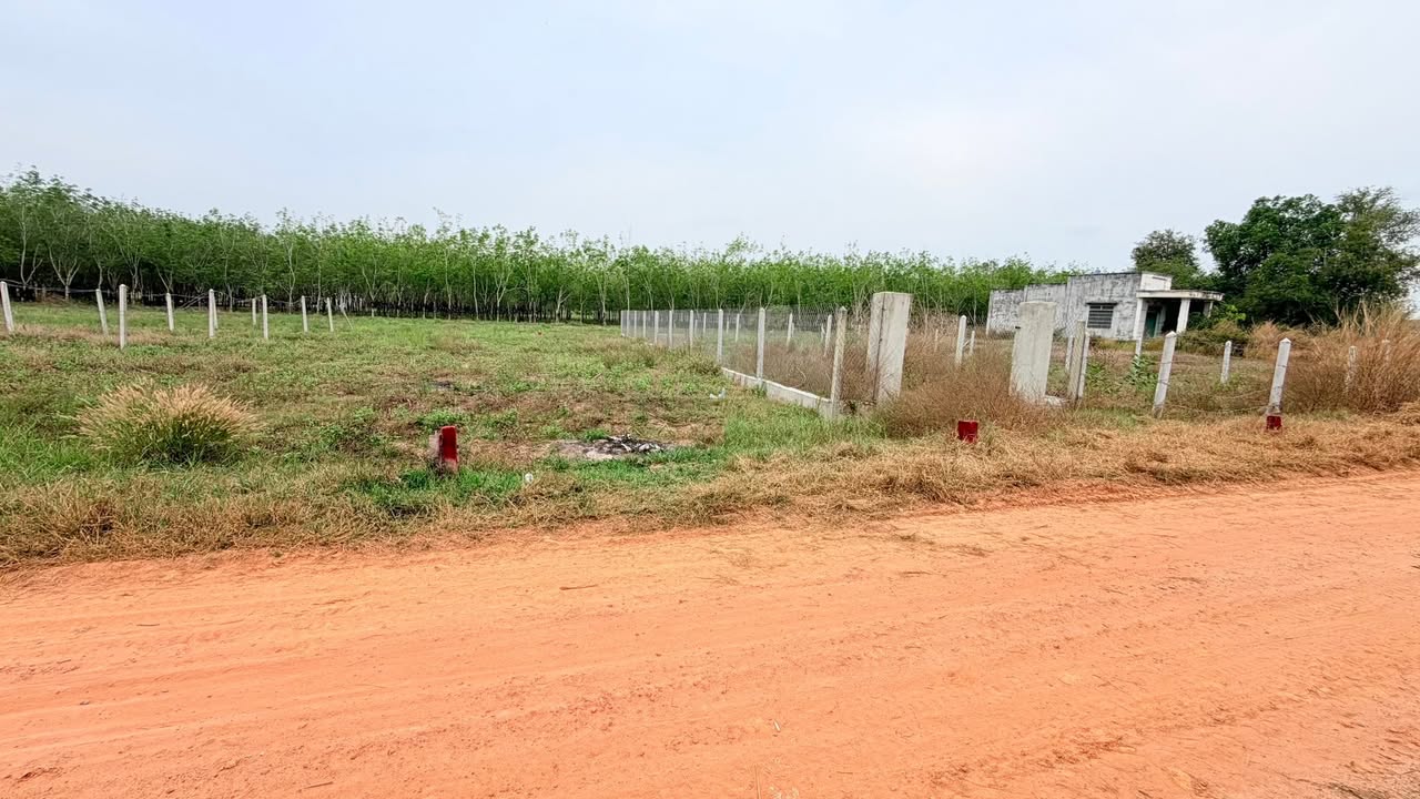 Đất Nền Tân Biên 160m² - Sổ Sẵn 179 Triệu, Sẵn Sàng Chốt Ngay!