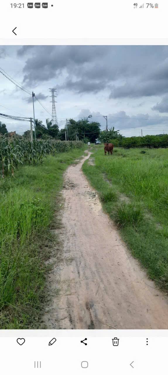 Bán Đất Thổ Cư 165m² Đường Trần Văn Trà, Tây Ninh - Giá 220 Triệu