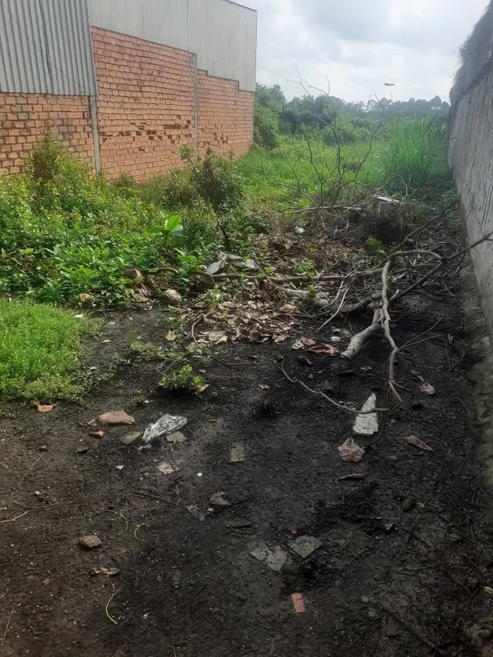 Đất nền Kỳ La Trà Vinh 150m² - Xây dựng tự do, sổ đỏ chính chủ!