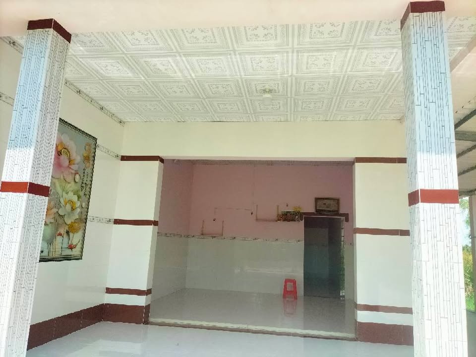 Bán Gấp Nhà Vườn 730m² Ấp Chợ Hiếu, Tiểu Cần - Giá 900 Triệu