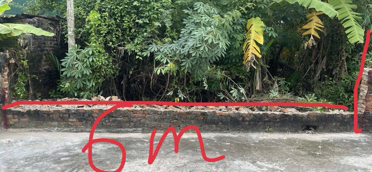 Đất Nền Thủy Nguyên, Hải Phòng - 108m² Sổ Đỏ Chính Chủ, Giá 600 Triệu