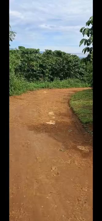 Đất nền Hẻm Nguyễn Thái Bình Bảo Lộc 1440m² - Sổ đỏ chính chủ