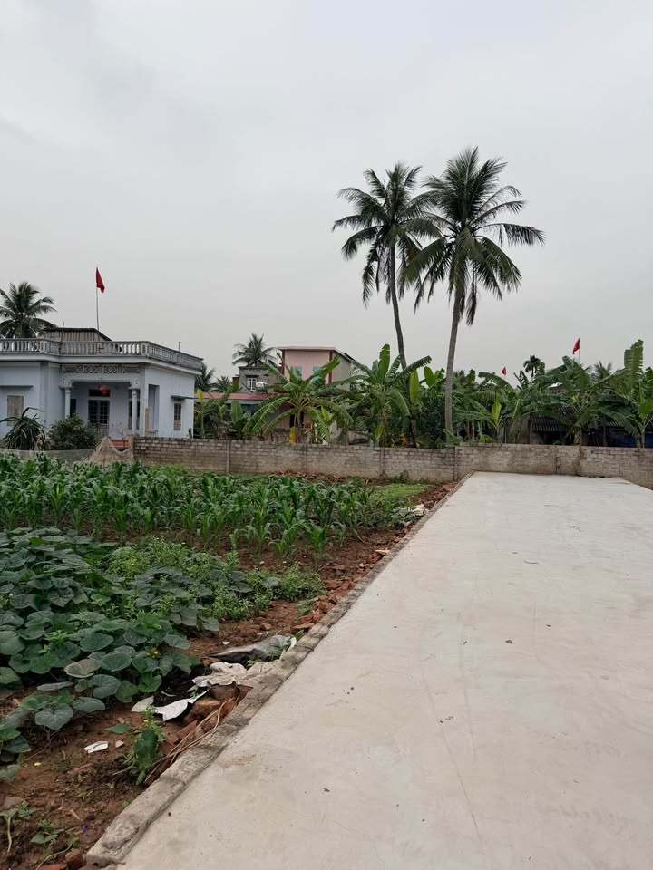 Đất Nền Tứ Kỳ, Hải Dương 113.9m² - Nở Hậu, Gần KCN, Sẵn Sàng Tăng Giá