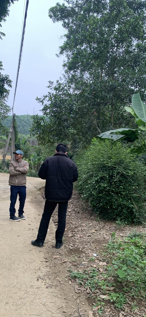 Đất nền Xã Thọ Xuân 480m² dưới 800 triệu - Tiềm năng tăng giá tốt!