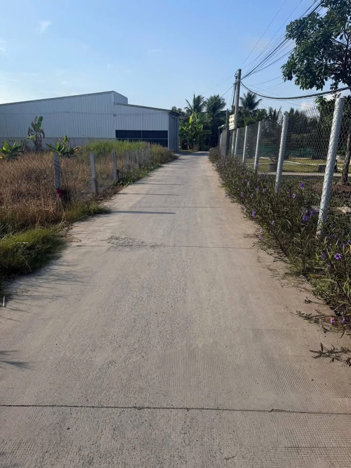 Đất Nền Mặt Tiền Đường Xe Hơi - Cần Giuộc, Long An - 1.1 Tỷ/Lô