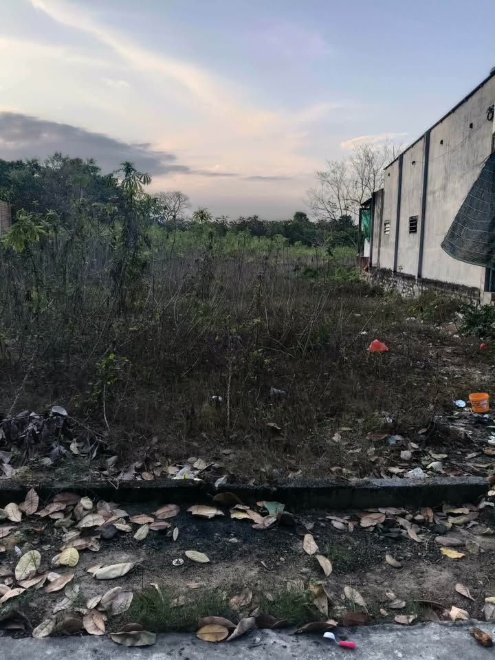 Đất nền Tân Xuân, Hàm Tân 833m² giá 8.36 tỷ - Sổ đỏ chính chủ!