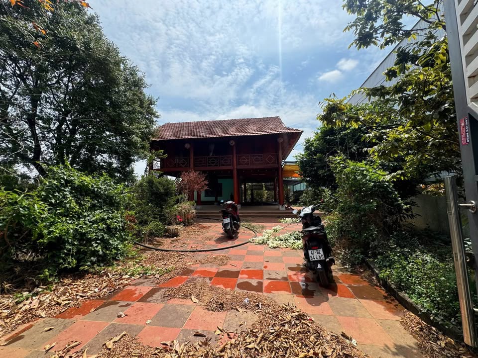 Bán Gấp Nhà Vườn Thôn Cao Thắng, Buôn Ma Thuột - 675m² Thổ Cư, Sẵn Sàng Kinh Doanh