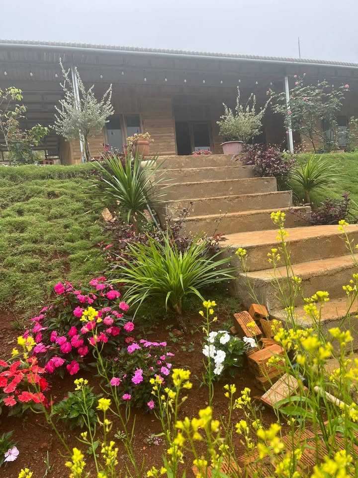 Đất nền Đăk Ru, Đăk Nông 1000m² - Sổ đỏ chính chủ, ô tô vào tận nơi!