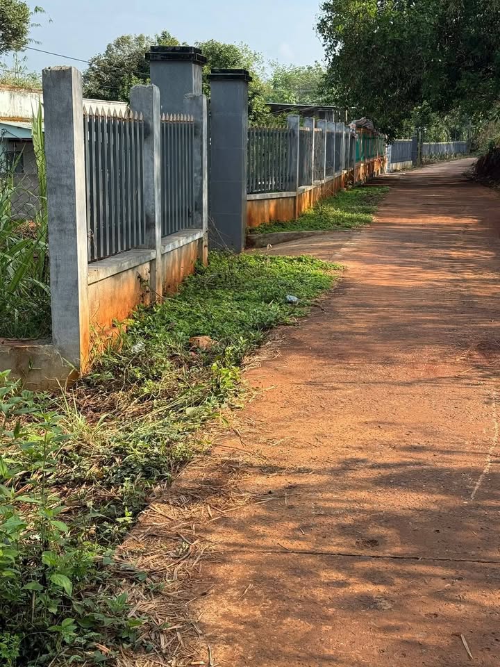 Bán Gấp Đất Vườn 3600m² Phước An, Hớn Quản - Có Sẵn Nhà, Mặt Tiền Bê Tông 25m