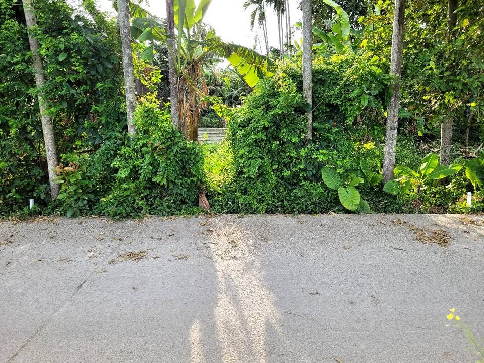 Đất Nền Hòa Xuân Đà Nẵng 125m² - View Đồng Thoáng Mát, Giá Tốt Đầu Tư