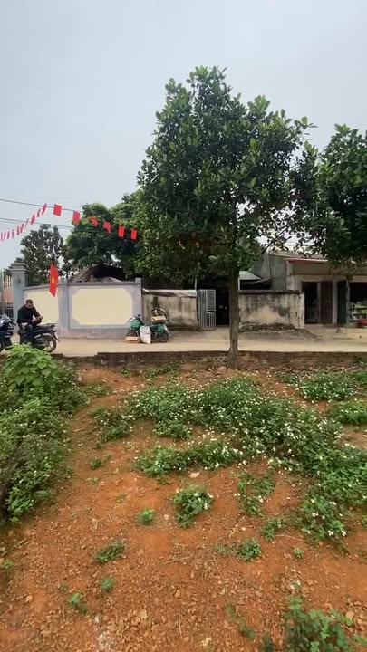 Đất Vị Nhuế Ba Vì 203m² giá từ 1 tỷ - Nở Hậu Tài Lộc