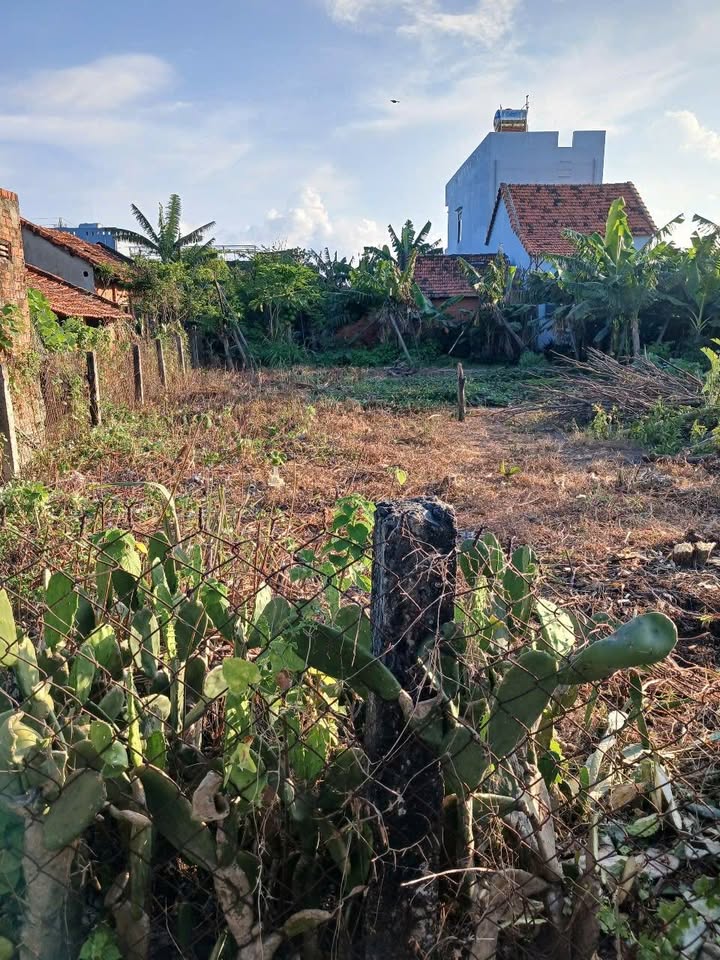 Đất Nền P. Hòa Hiệp Nam, Đông Hòa 120m² - Giá 750 Triệu, Sổ Hồng Sẵn