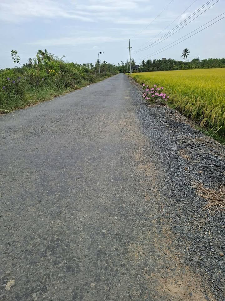 Đất nền Gò Công Đông 170.7m² giá 520 triệu - Sổ đỏ chính chủ