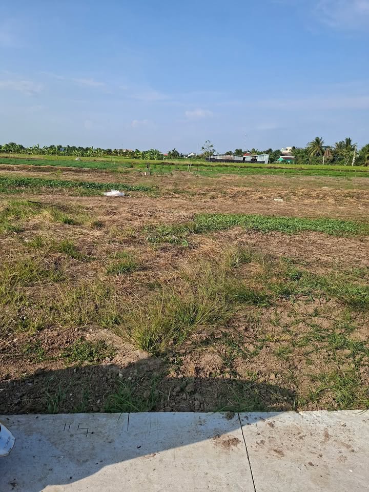 Đất Nền F0 Tân Điền Gò Công Đông - 162m² Full Thổ Cư, Giá Đầu Tư