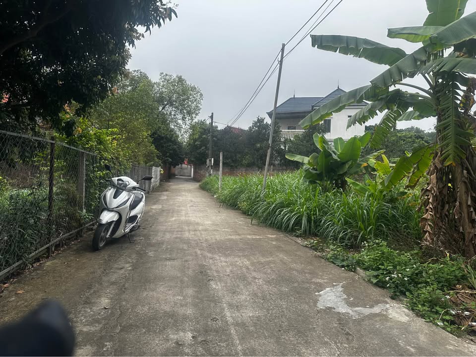 Đất nền Định Trung, Vĩnh Tường 102m² - Tiềm năng tăng giá!