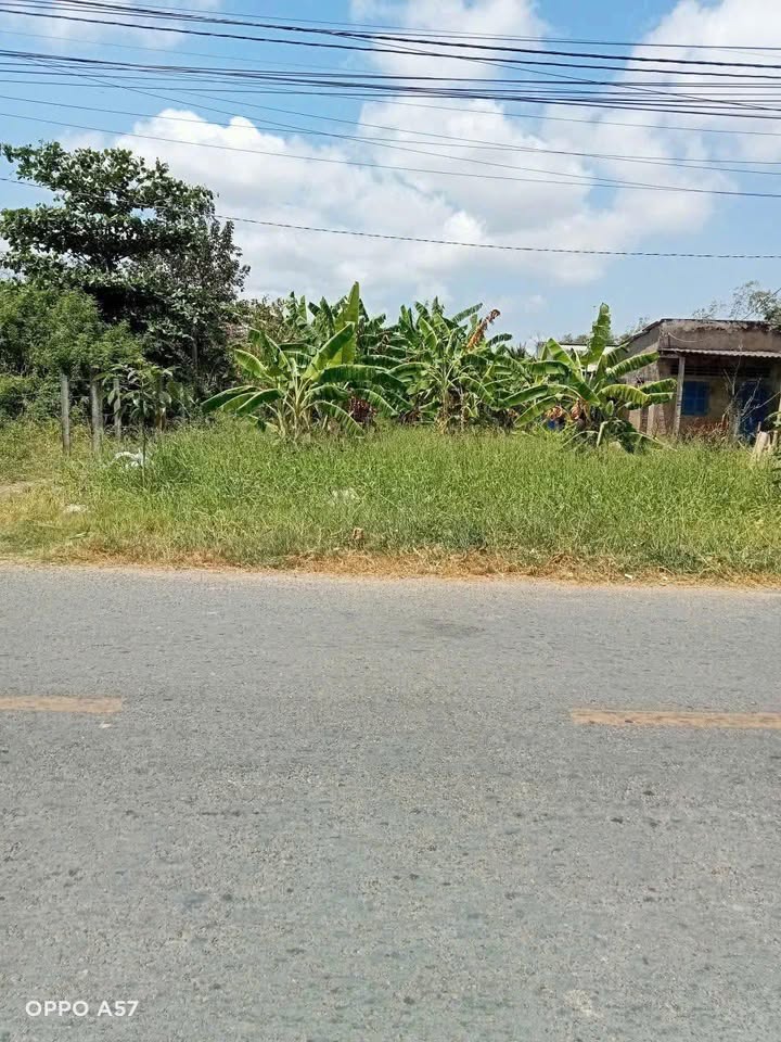 Đất Mặt Tiền Đường Bắc Nam, Bến Tre - 651m² Thổ Cư, Giá Tốt