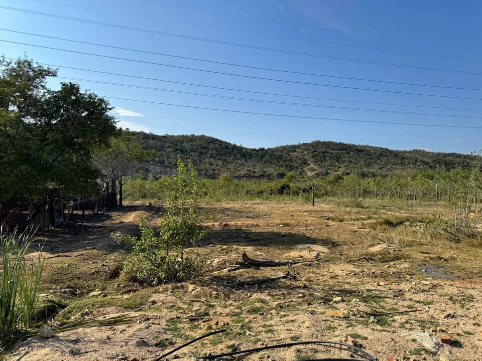 Đất Vườn 3.000m² Đô Vinh, Phan Rang - Nghỉ dưỡng lý tưởng!