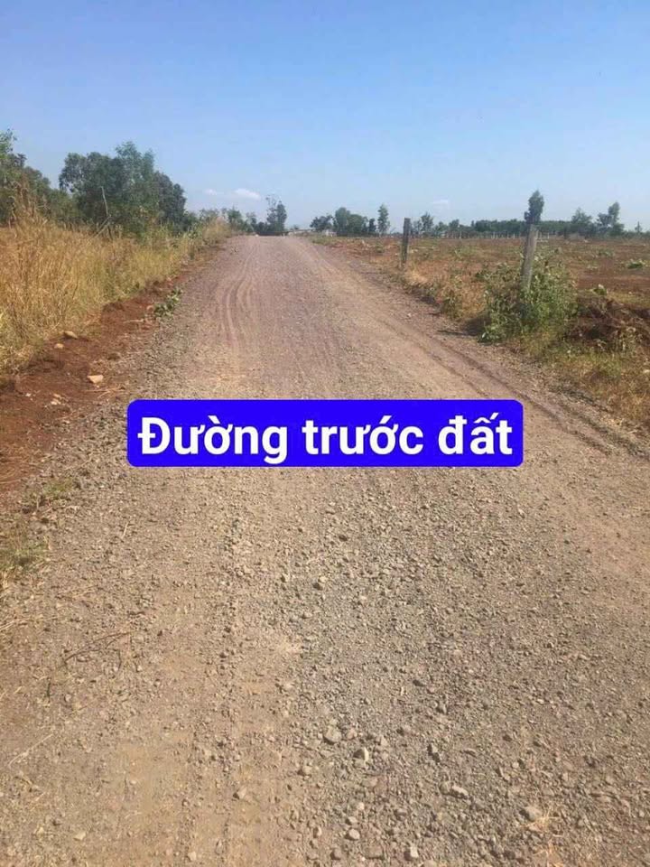 Đất nền Xã Long Tân Đất Đỏ 1000m² - Đường to ô tô, sổ đỏ chính chủ!