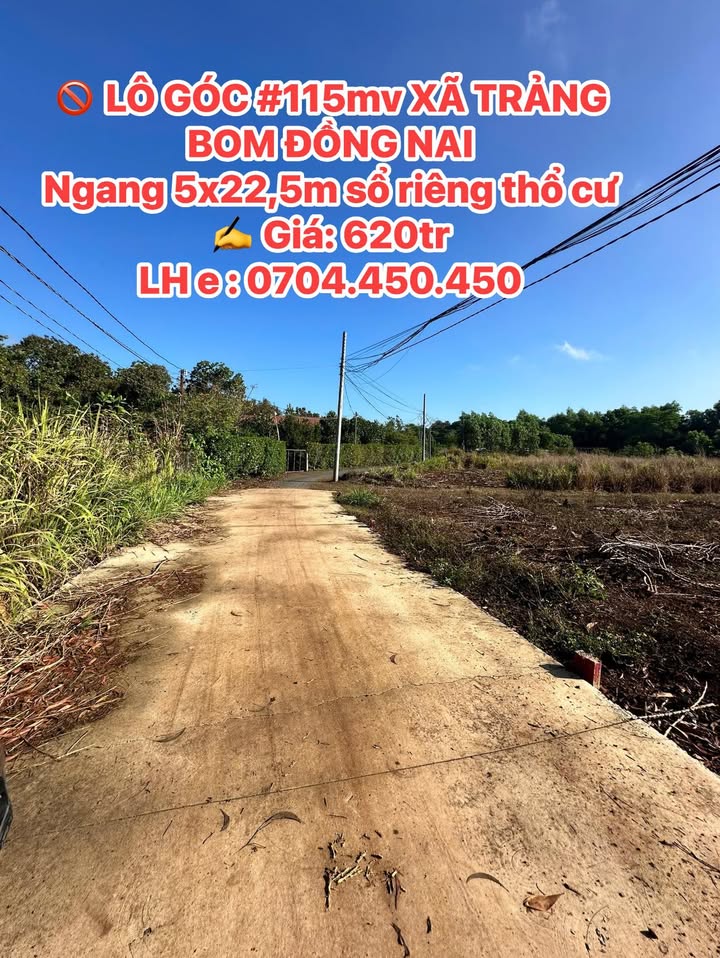 Đất Lô Góc Trảng Dài, Biên Hòa 115m² Sổ Riêng Thổ Cư Giá Tốt