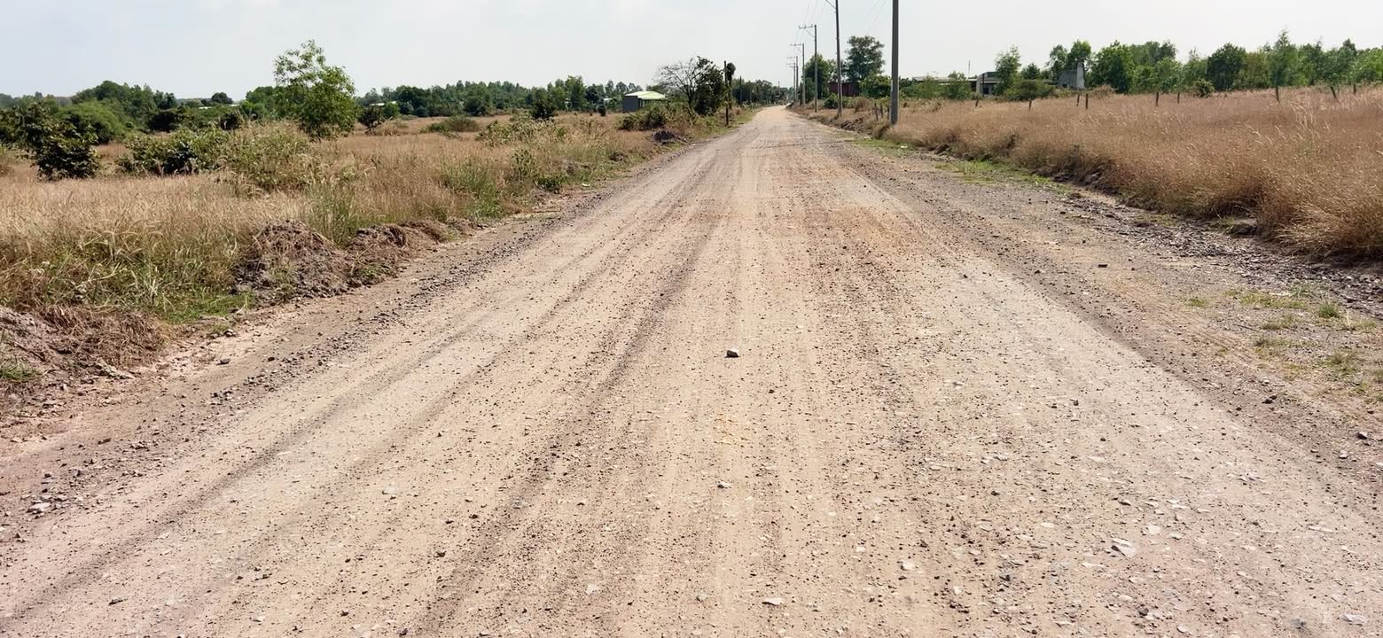 Đất nền KCN Hố Nai 3 Biên Hòa 100m² - Tiềm năng tăng giá vượt trội!