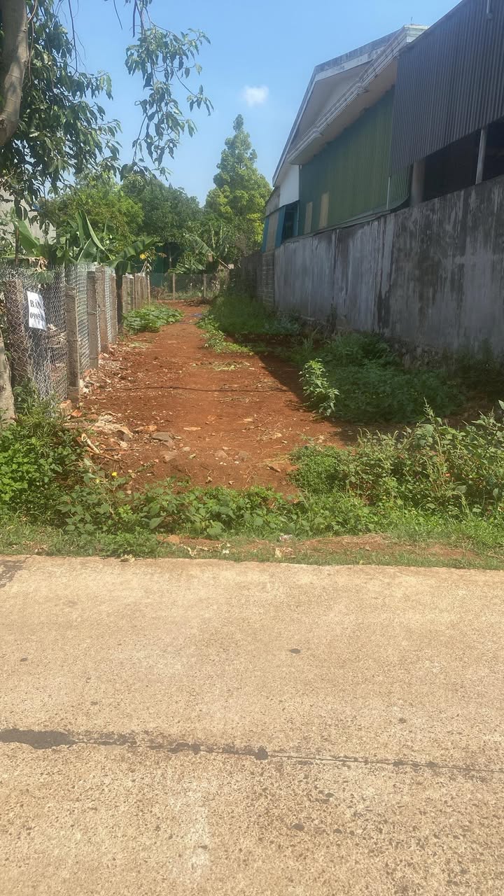 Bán đất 165m² đường Kim Đồng, Cư M'gar - Vị trí đắc địa kinh doanh