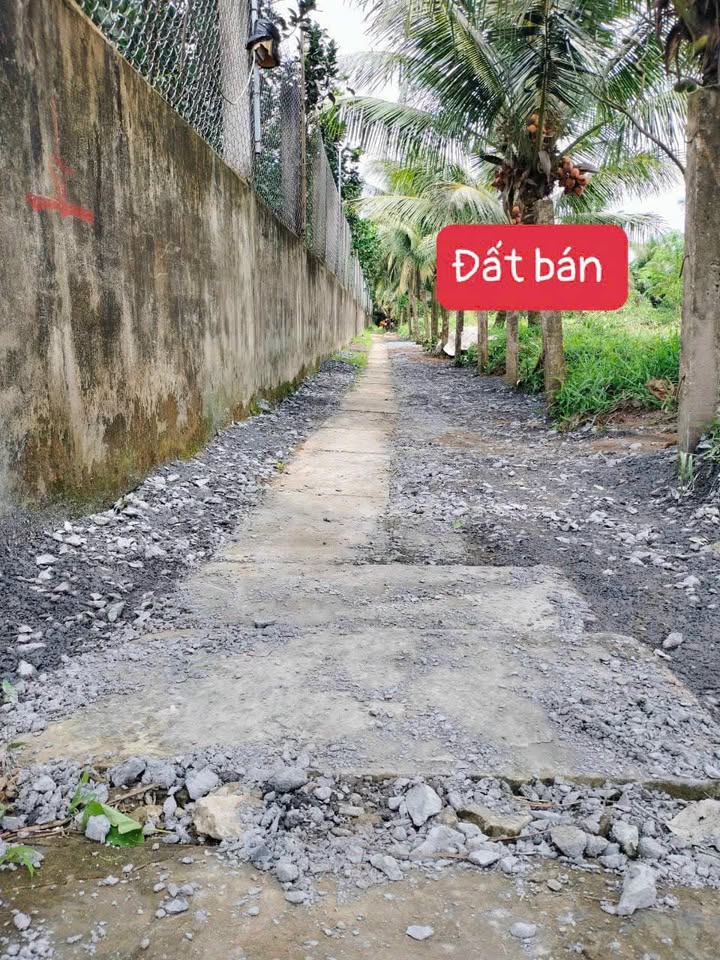 Đất nền Mỹ Phong, Mỹ Tho 97.5m² - Giá tốt hiếm có!