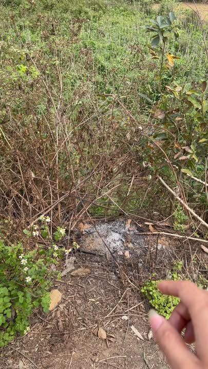 Đất Nền Lập Thạch 1240m² - Sát Cao Tốc, Tiềm Năng Đầu Tư Vượt Trội