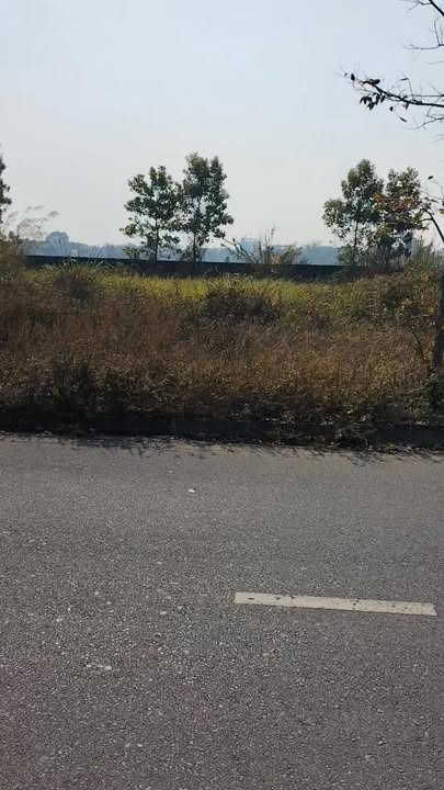 Đất nền Nhân Thắng Gia Bình 132m² - Sổ đỏ chính chủ, bán gấp, kinh doanh ngay!