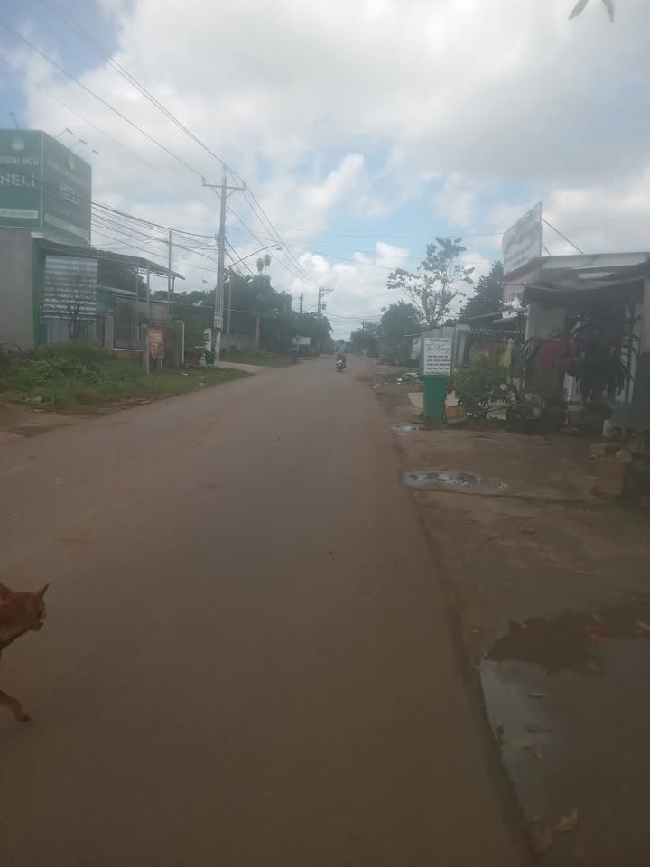 Đất nền Trần Hưng Đạo Đức Tài 125m² giá 530 triệu - Sổ đỏ chính chủ